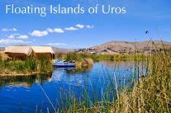 Lake Titicaca Half Day Tour - Uros Reed Floating Islands